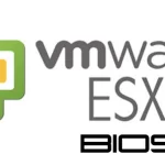 دسترسی به BIOS در ESXi