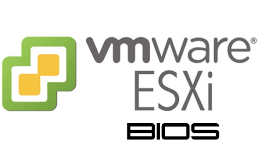 دسترسی به BIOS در ESXi